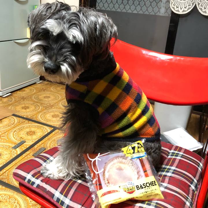 05179f3f 9dfe 4757 aa62 2727748c6135 1708084173942