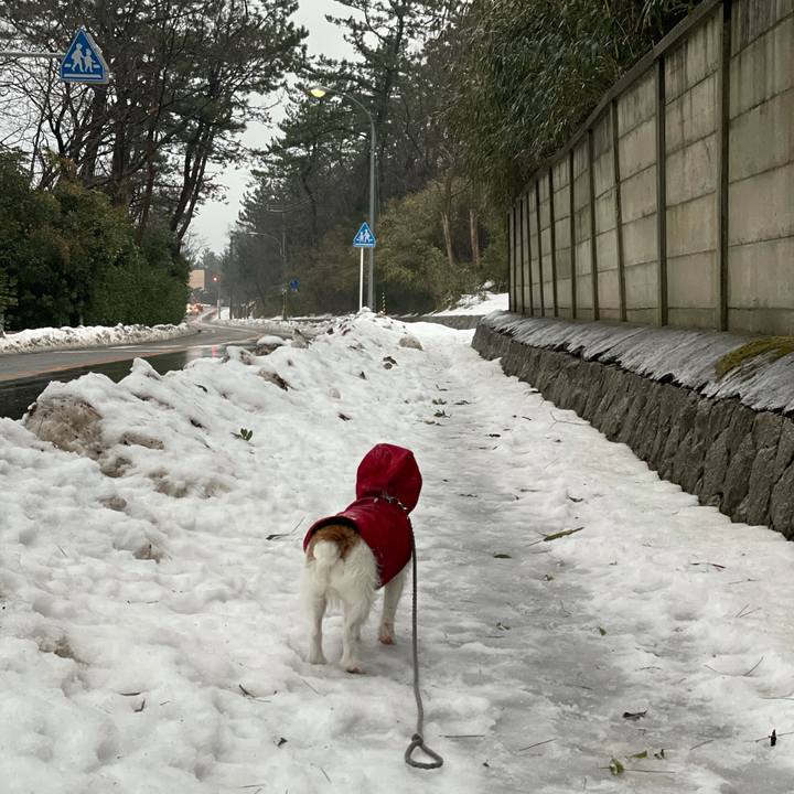 05179fab 77dd 4ca3 ad4c d61a08cea8d5 1611270039678