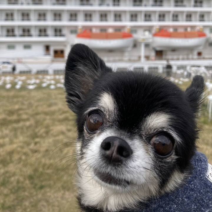 0517c050 2321 409e b59f 3ca5d62ee4fd 1765107753856