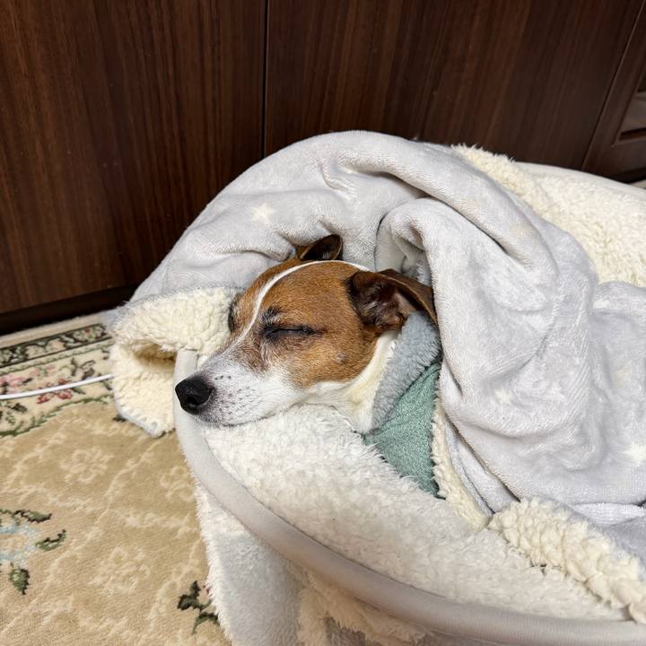 0517c5f1 55ed 45ed a9ec 2b0e72f5cd5c 1769076519186