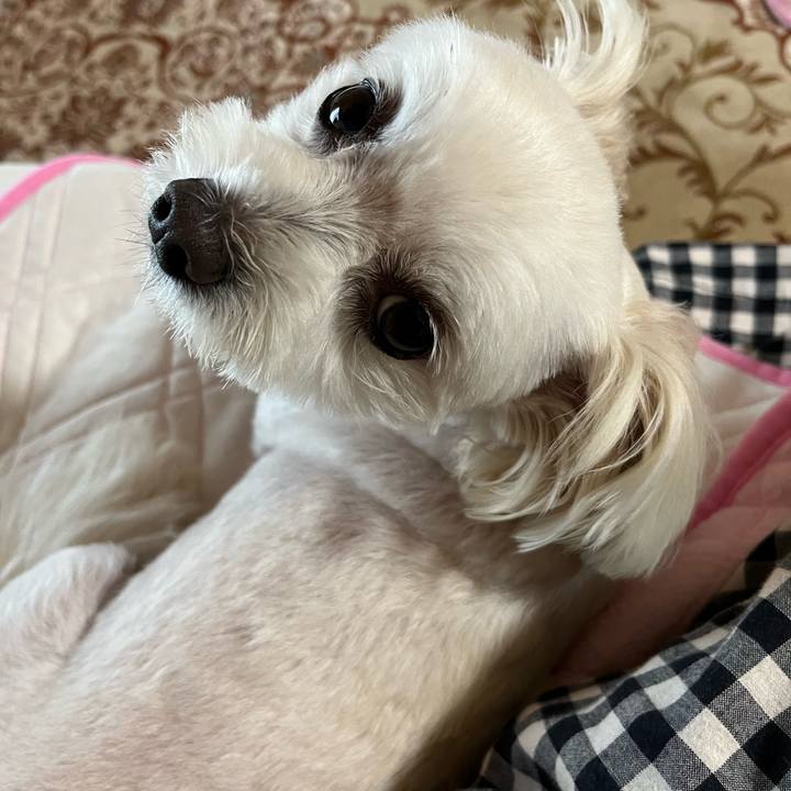 0517ddcc b5d6 447c 8345 5318056cdd8f 1661925038503