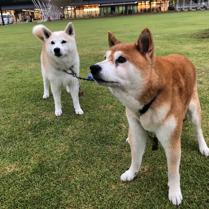 0517e9af 5472 4b59 8227 8282a87520b9 1569070373350