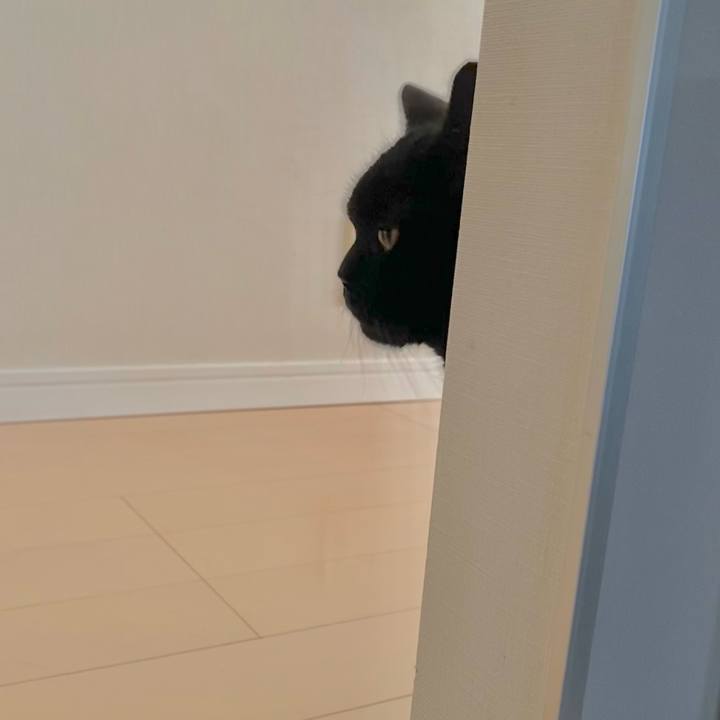 0518174d c6e4 489e bdbd c630a331e2f7 1719104049154