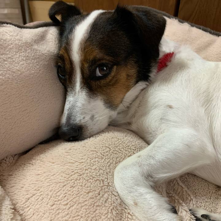 0518266d 28c3 476e 85f9 a0b188f4915c 1609226434294