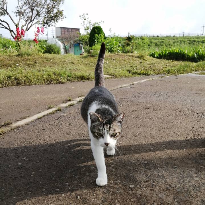 051830d0 76e3 4feb bb7d 86b47b02ee7d 1621900451240