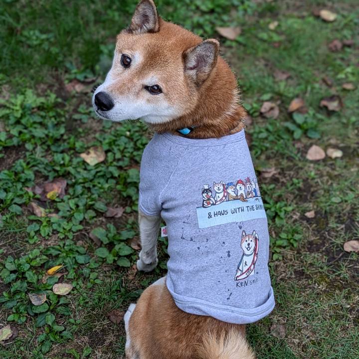 05183346 b0fc 4261 9929 3444ebc25164 1728272839592