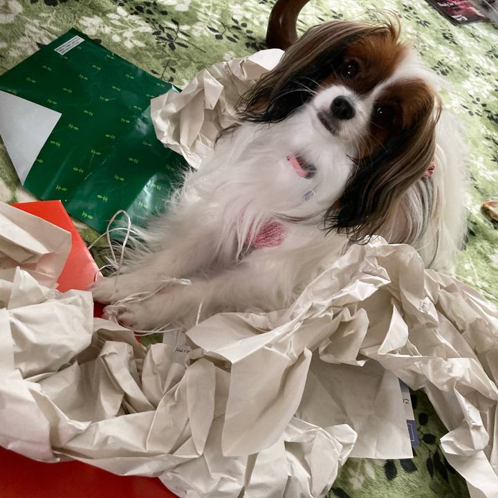 0518aa14 b344 40dd 8a9b cfb61d542ffa 1637543533784