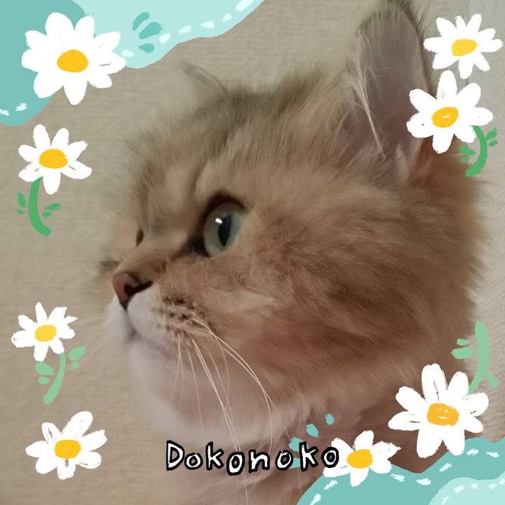 0518c3e0 bc2c 4db4 ac58 09c3715b7cf9 1712625992035