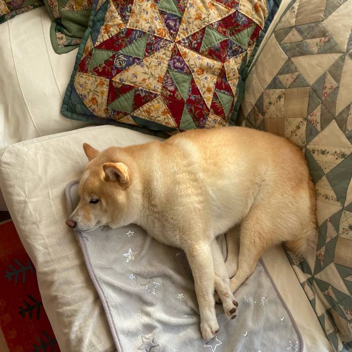 0518d034 59f2 430d b706 806841583a32 1742461924807