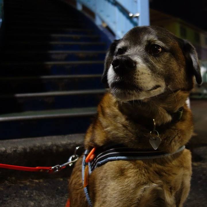 0518e781 5bb8 4df8 9182 25054ce1dbf3 1517741197484