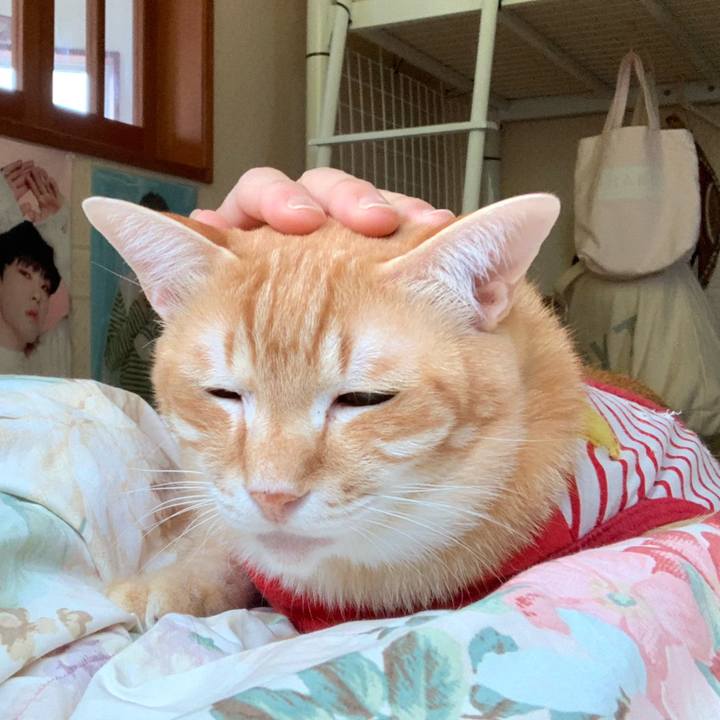 0518f0fd ab7a 4506 b15e c81cdc4b7cd7 1587420630437