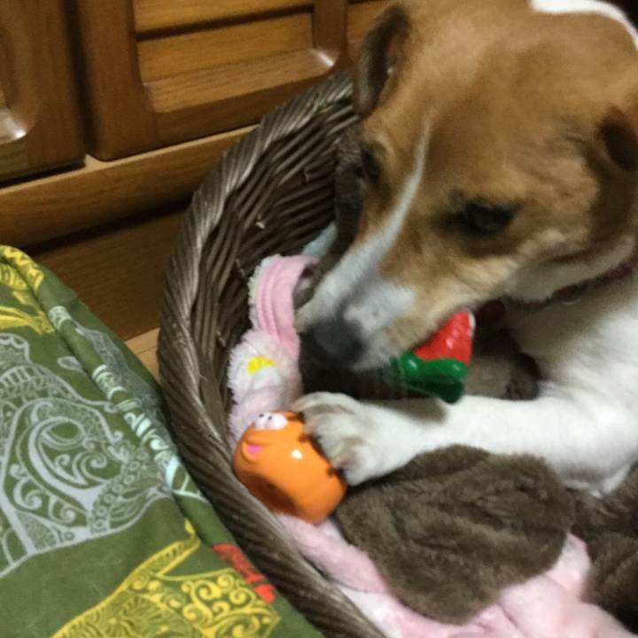 05190d23 a34e 4f51 8db5 64bdae8d69ab 1524567087488