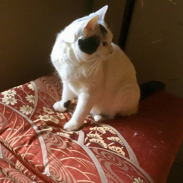 05191f11 6ea1 427a 9070 07f41d9602a3 1554521119954