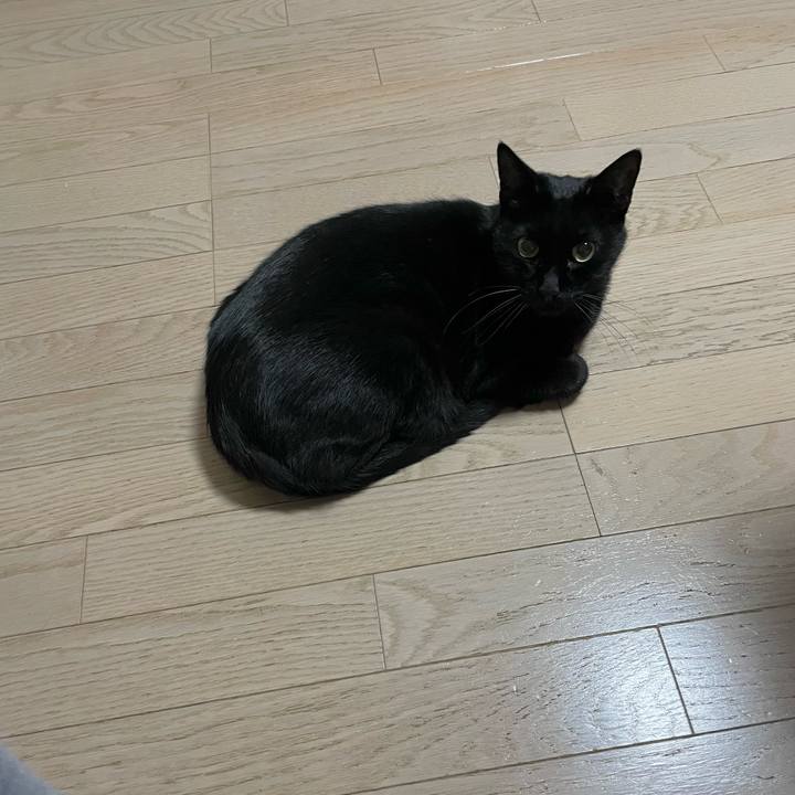 0519bbbb 2283 42bd a58c a4a67d7cbee5 1761915028806