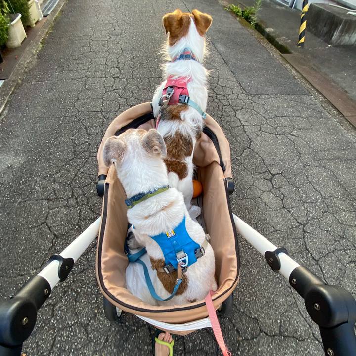 0519bc10 21cf 442b 8a1c b69903d15acb 1721517875299