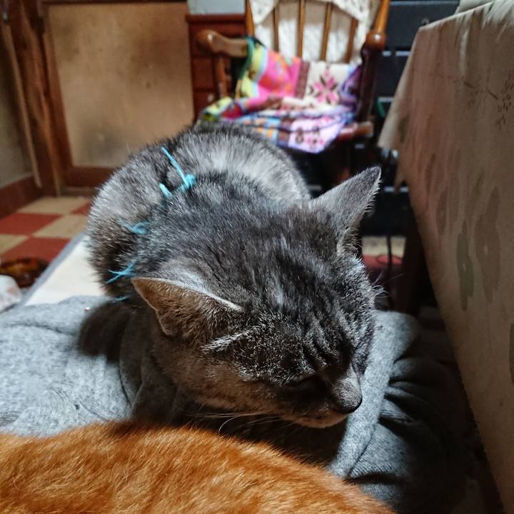 0519bd7e 42b0 427c 87c3 338bd09e539d 1577870759385