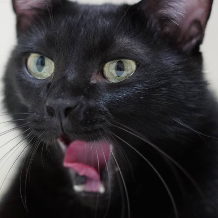 051a6381 651f 4d8d b4f1 0856bd10c299 1664795939926