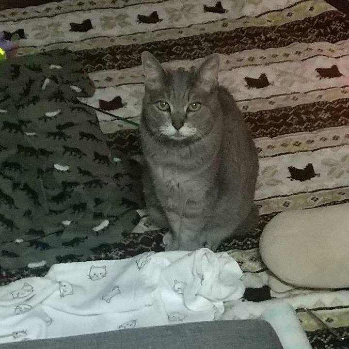 051a7904 fb3f 4c7c ba5e 1a500b0a2dfd 1676152308710