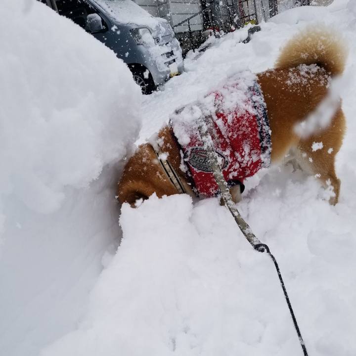 051a7c50 5b4a 4fc2 997b 0864587be55c 1608361303473