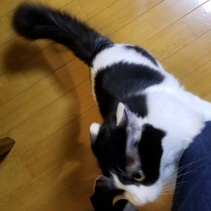 051a8b78 b46b 462f b8ea 27fbf90dd49d 1575581713734