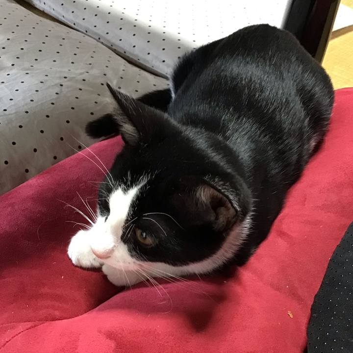 051ab265 0e6f 43a2 9355 f9a123e06f27 1627972440752