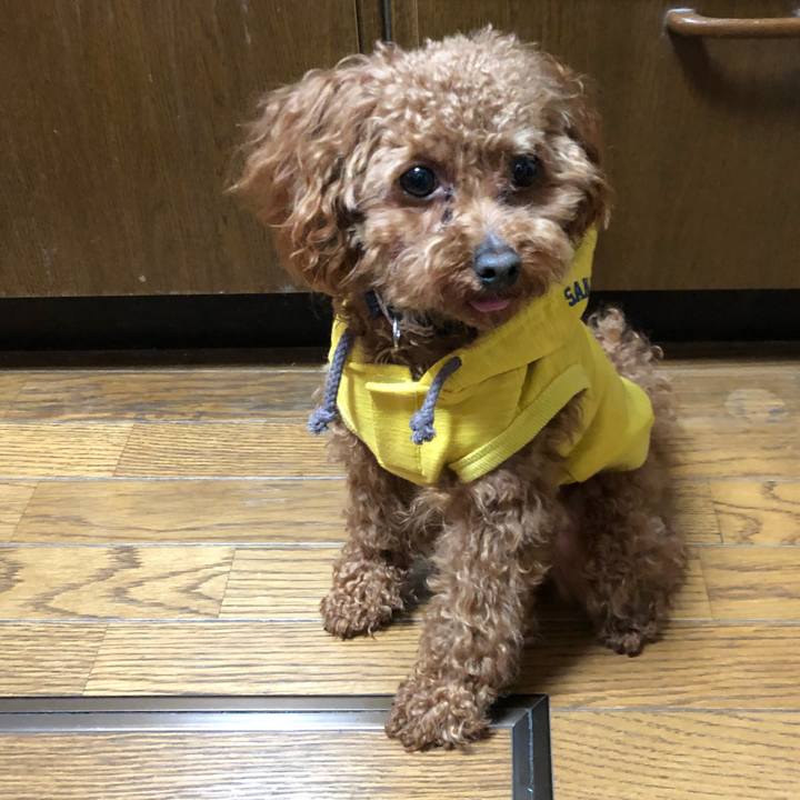 051ad92c 7da3 42c1 a9da ba7a04f6a8da 1523972986576