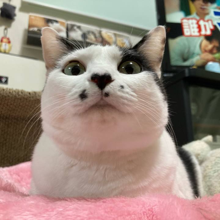 051aec4b 4748 482c 99e4 67625b2668a3 1760267929048