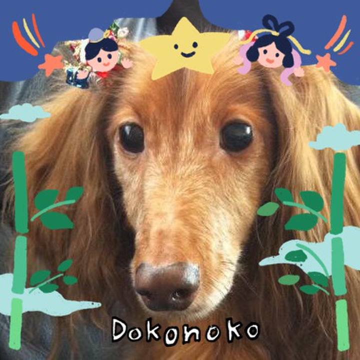 051b2798 bab8 4e2c bc32 8ffed511bd03 1721081975979