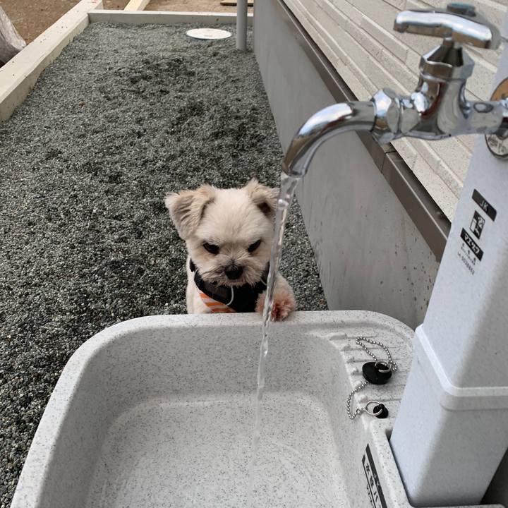 051b5add 9319 4e5c b9d0 008084b2535b 1597750495794