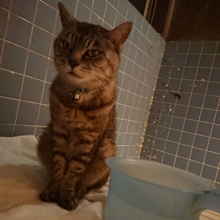 051b63f2 b938 463e aeb8 01be4e82de4b 1601631668752