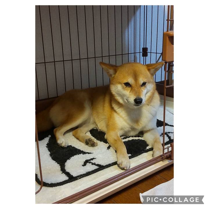 051b6730 11d2 4333 9e4d 7e0b0eebac2b 1703841228985