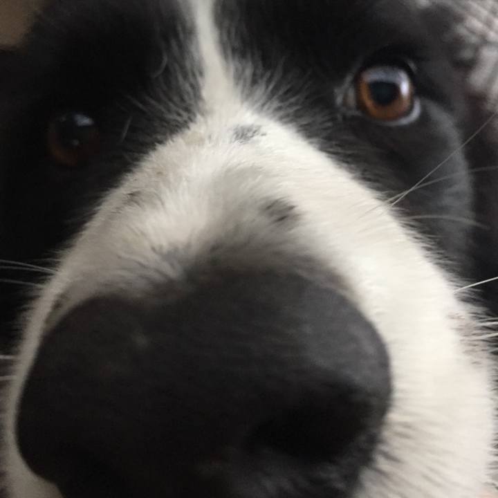 051b745e d96b 4cbf a19d 0dfc8297efa1 1574899986095