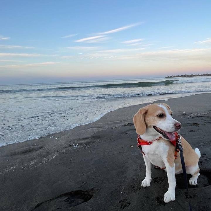 051b9a83 8f9b 4bf5 9d1a f5355ae94052 1658572045232