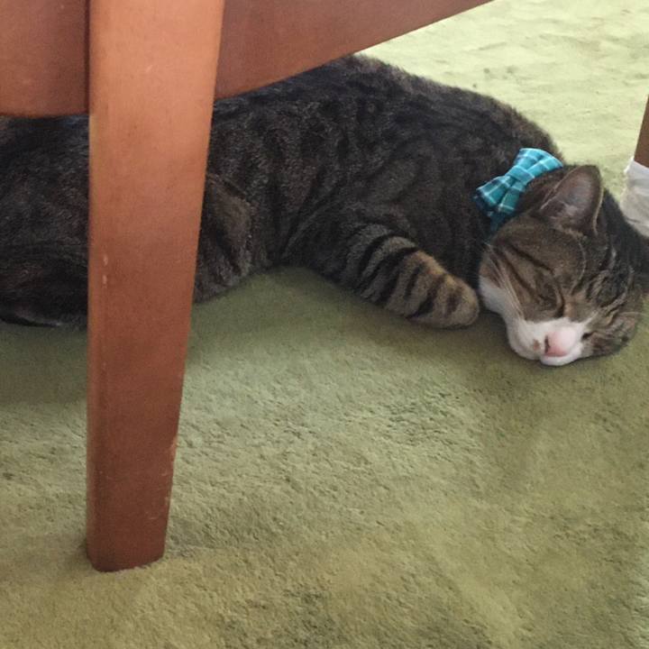 051ba19b b632 4bfe 9f48 71a7ee732da3 1704509946775