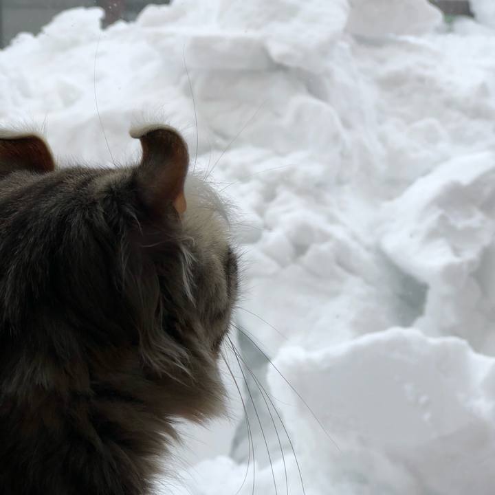 051be4cb 5533 4c2a 8060 c180de200d7e 1519451236795