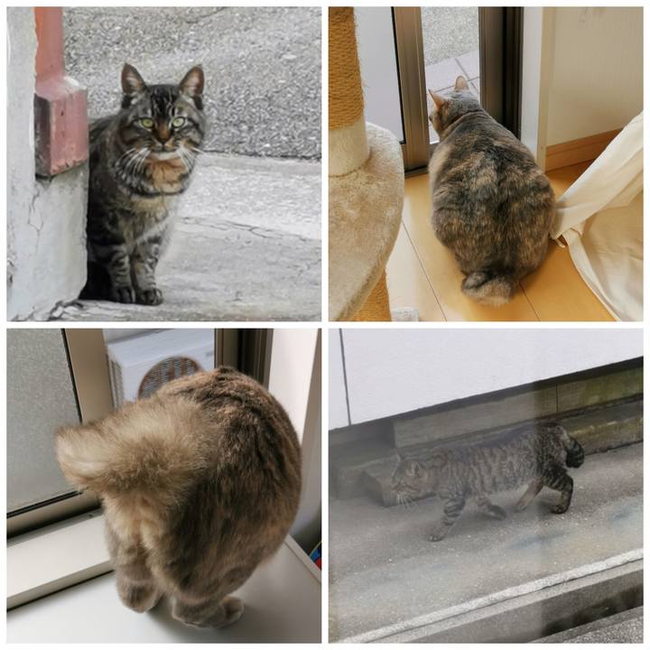 051be659 63be 4319 a173 c481d83c0650 1643169554551