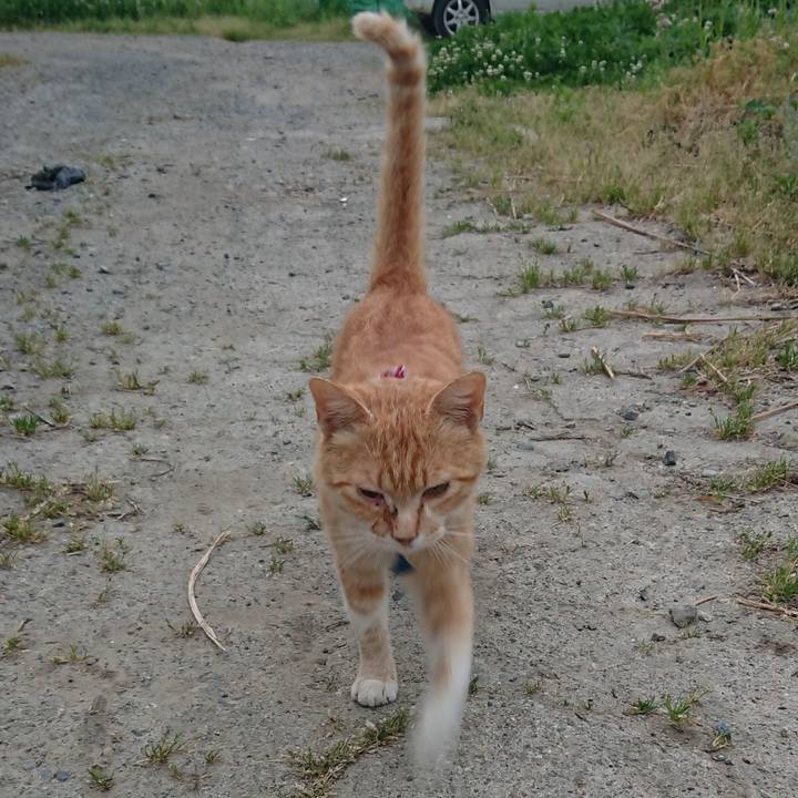 051bffac 3d5f 4a7e 97d8 da2b1d24f297 1558987189343