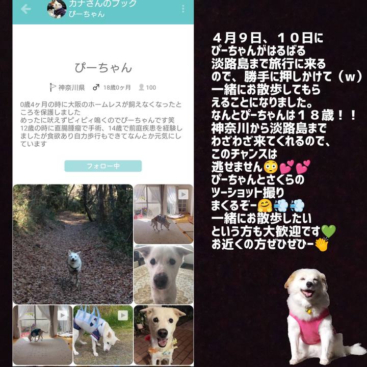 051c3fa1 2a78 445b 8ea5 55409b77af52 1648179435097