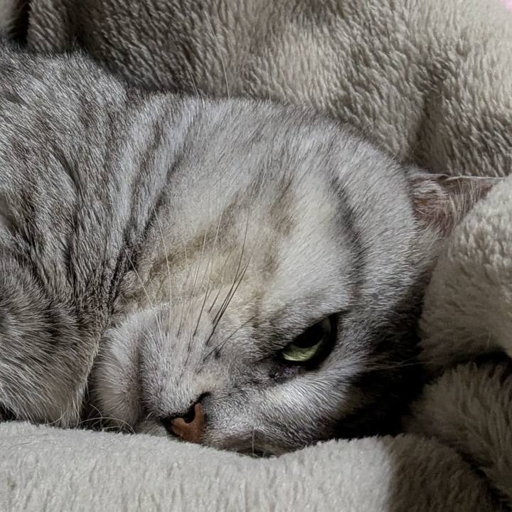 051c5326 20f0 4f41 a113 64a6bc64d5e1 1753878009797