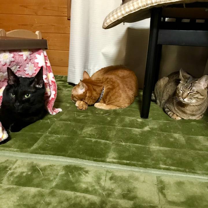 051c953e 0ddc 45c7 8549 602a23cf5398 1515766766598