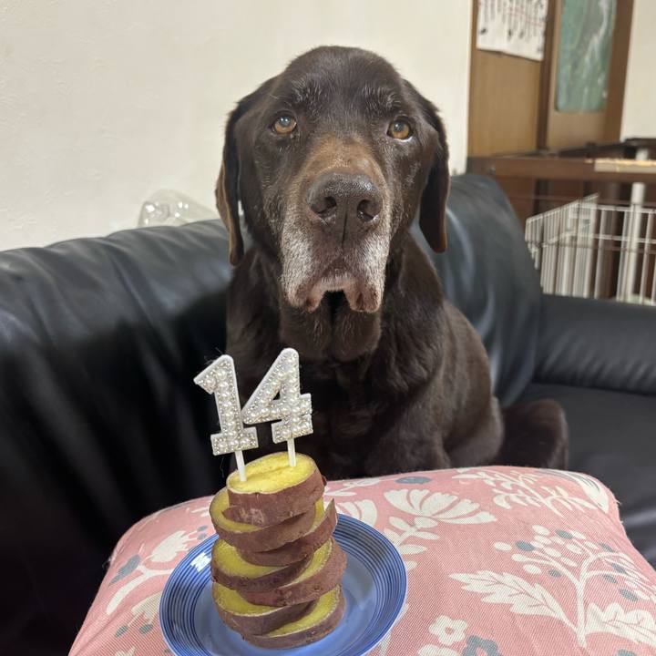 051cad10 9269 487f ba27 00b12de540b5 1773919701253