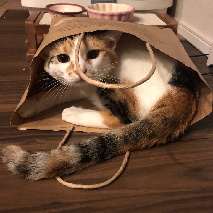 051ccd4b e7d2 4c41 9e7e fad549329d75 1593347280840