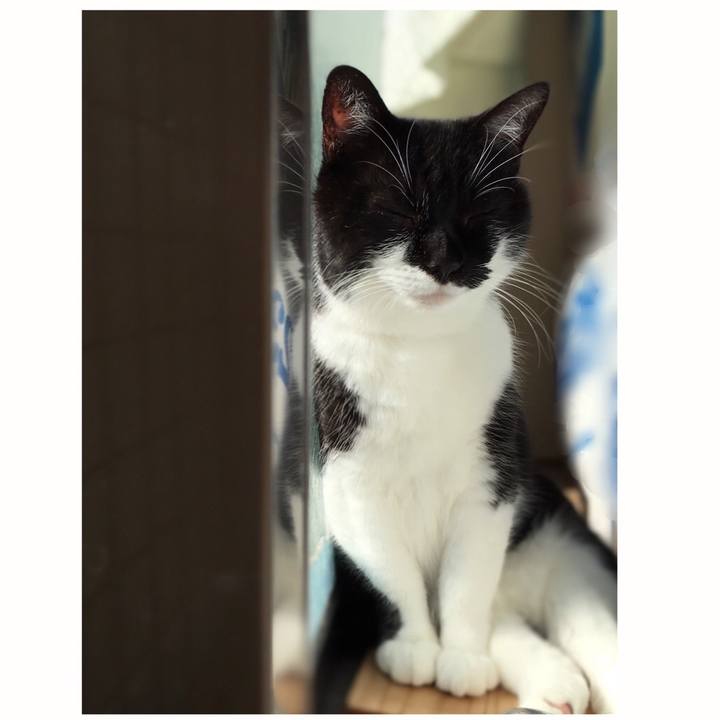 051cf1b8 365f 4079 a035 da585a516628 1577078977679