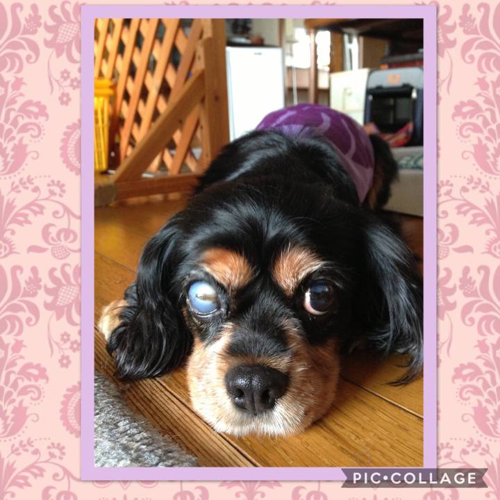 051cf3fe e6a8 4587 9d3e fd2fc0f1e884 1533080214648