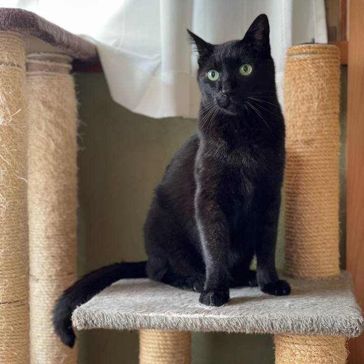 051cf6ca c7d1 4b1d b8dc 7903349fc971 1655690846897