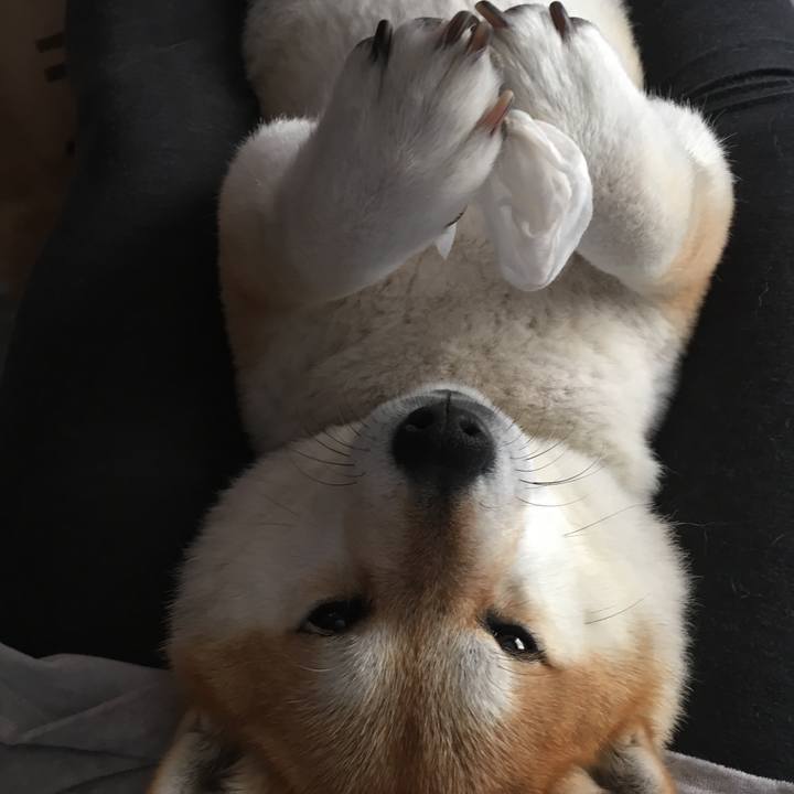 051d0a40 3b6e 471d 8ab3 b6e4626b76bd 1583039572572