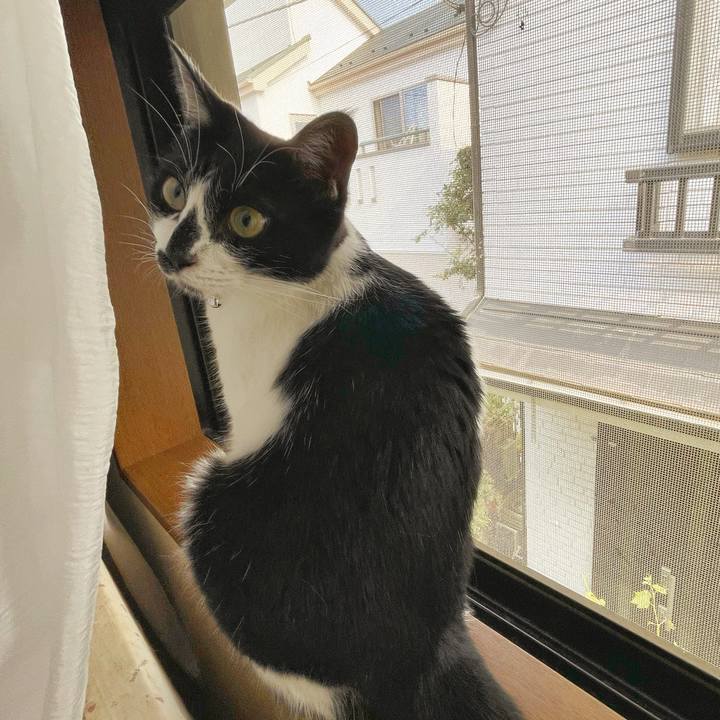 051d14ef 91e1 4865 ba7a 98e18326f81b 1752015228688