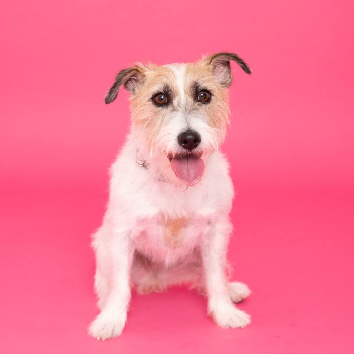 051d274e 9d2e 42a2 9bbe 900f4de7e822 1732543595418