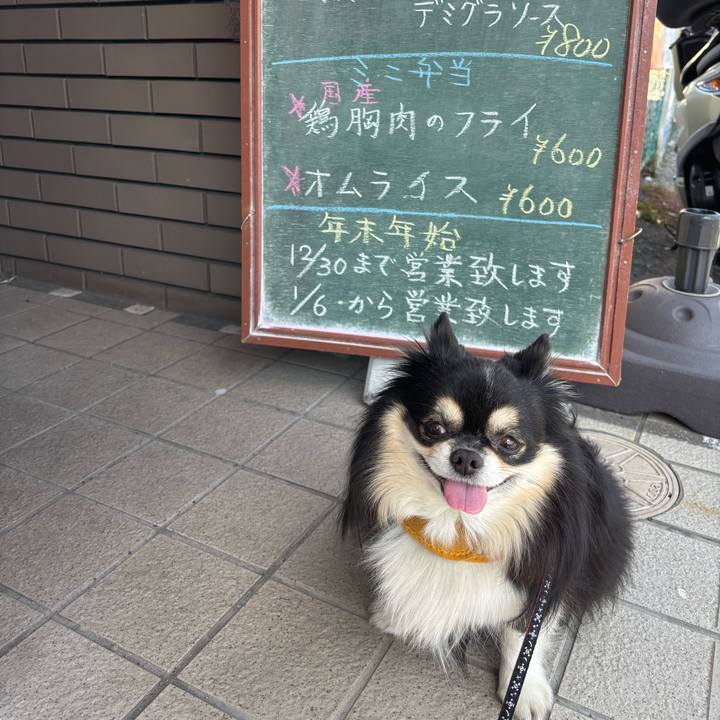 051d2cc9 25d3 44d0 b141 c6360680b80d 1765250484347