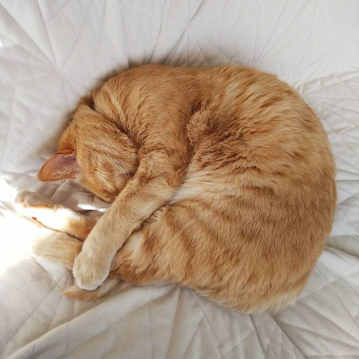 051dcf20 3705 43ab b846 0247b0cba9f6 1647577678771